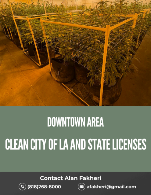 Downtown area cannabis licenses, clean City of LA and state licenses